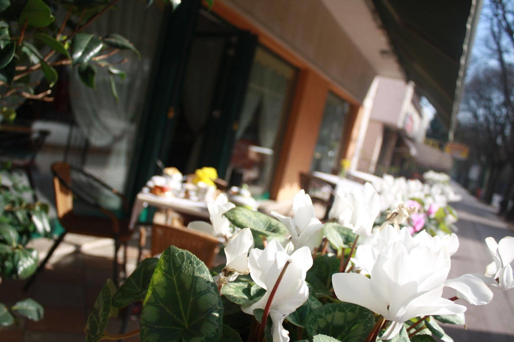 Hotel Damodoro بوردينوني المظهر الخارجي الصورة